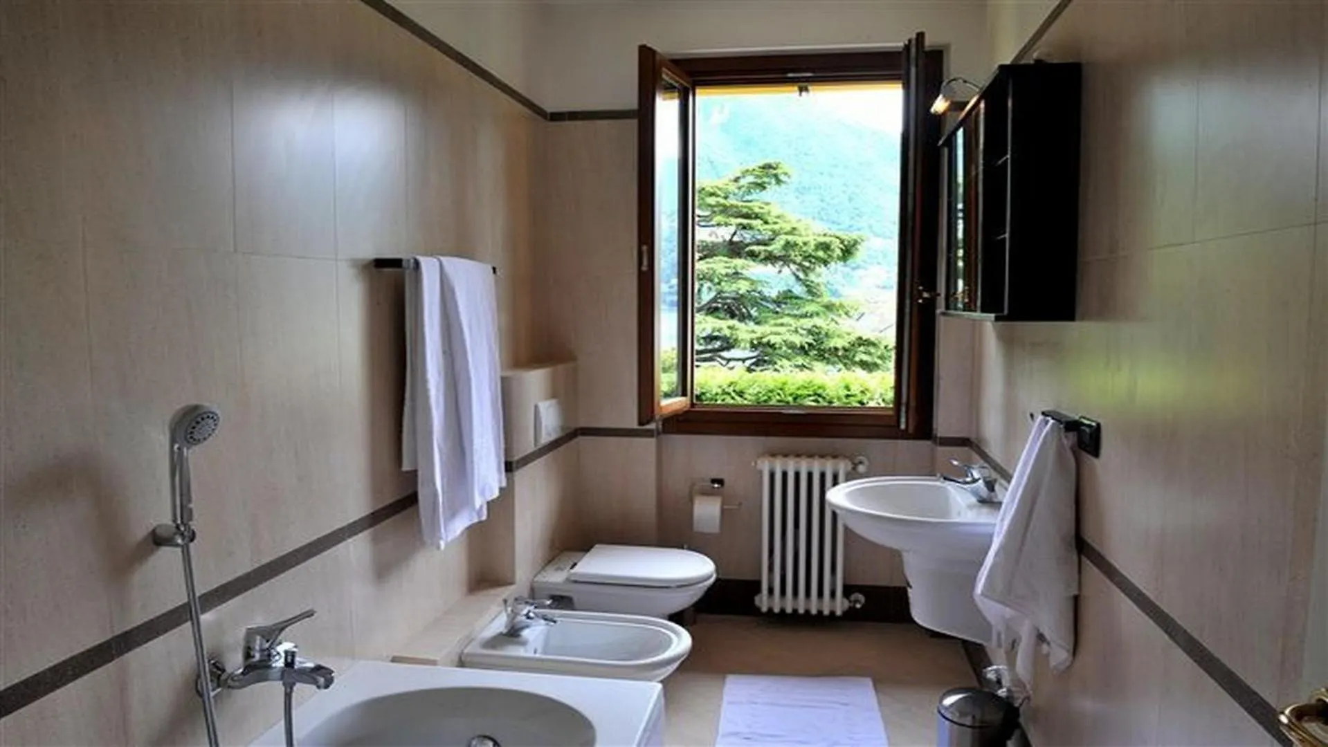 Residenza Regina Apartment Laglio Italy